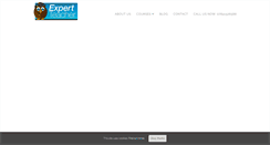 Desktop Screenshot of expert-teacher.com